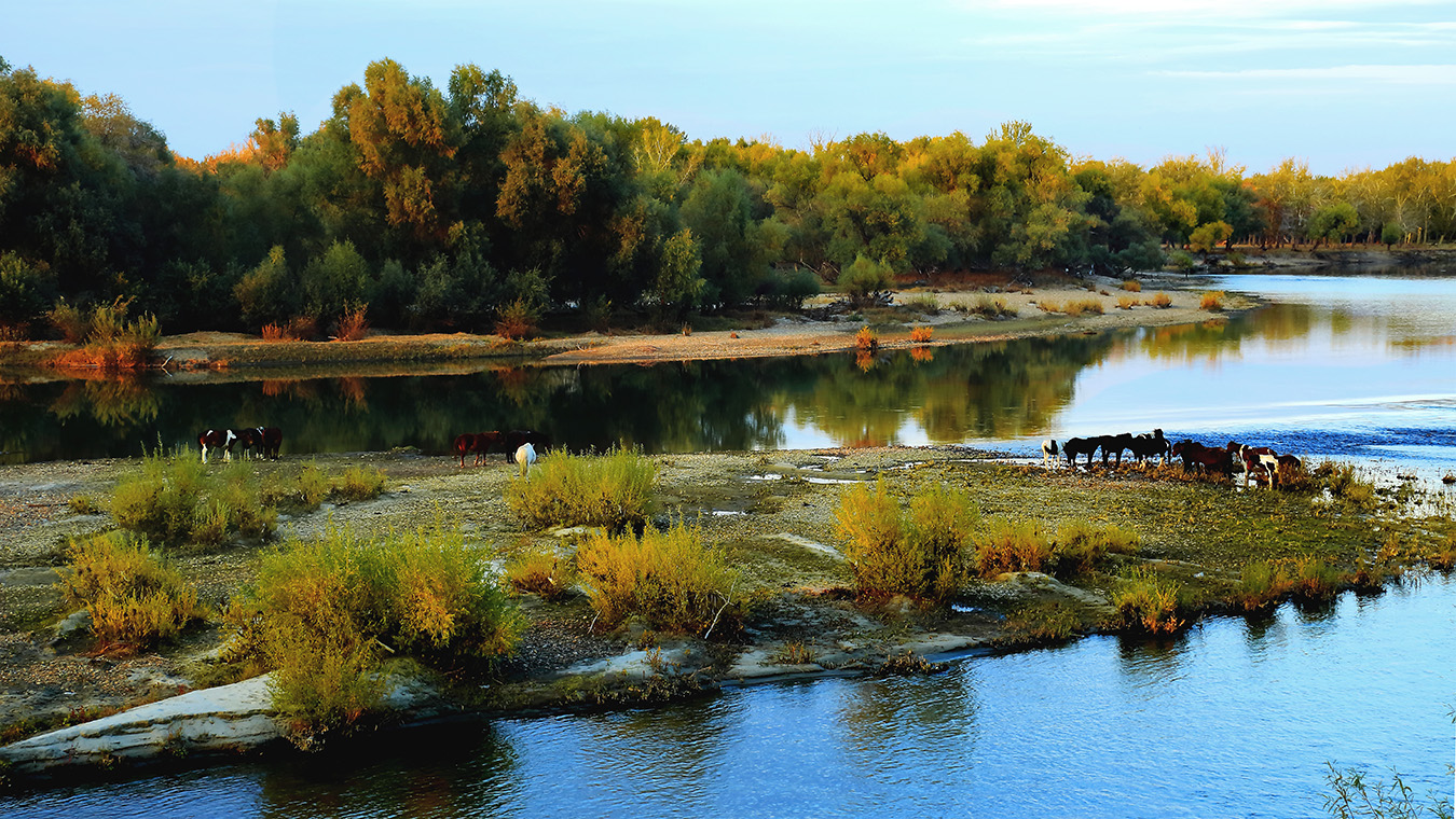 ������� (2).jpg