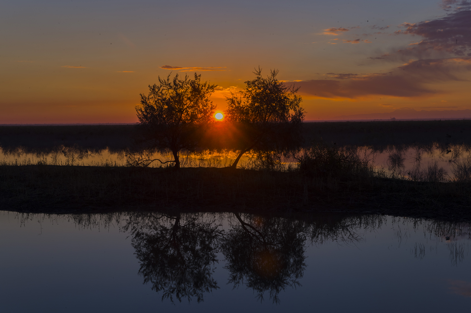 ʪ�س��ء���