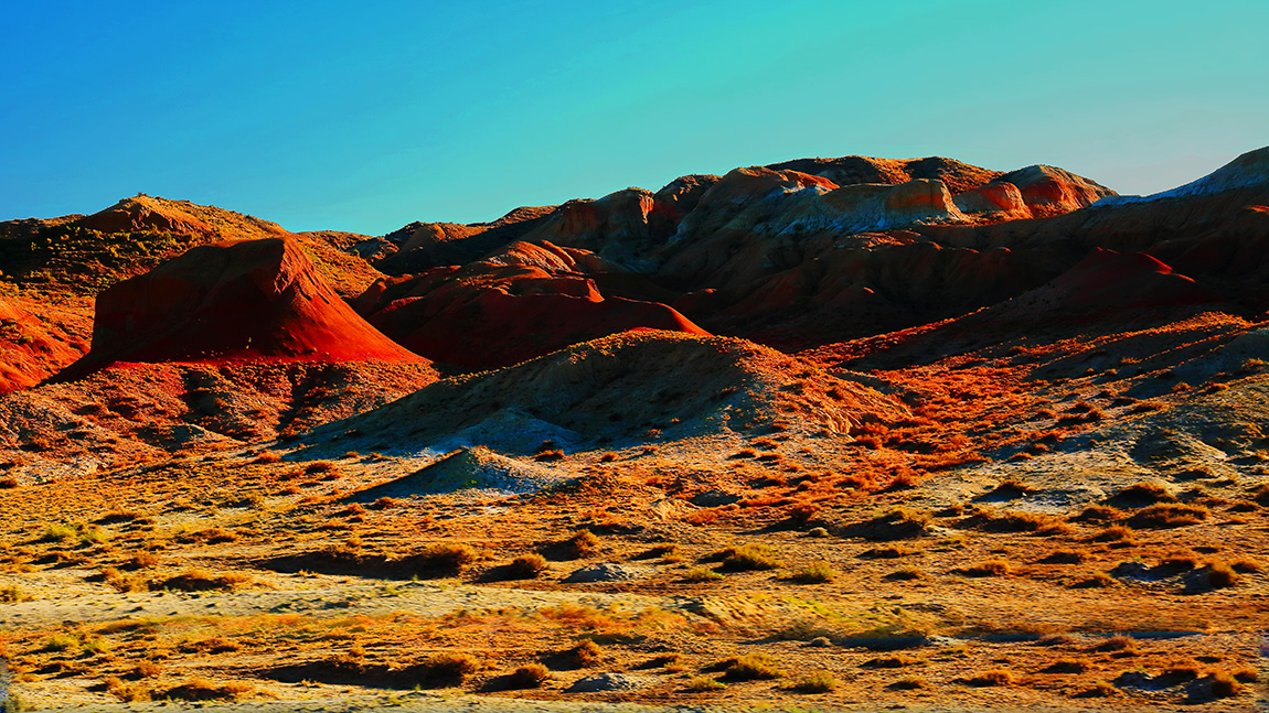 �ŵ���ò (2).jpg