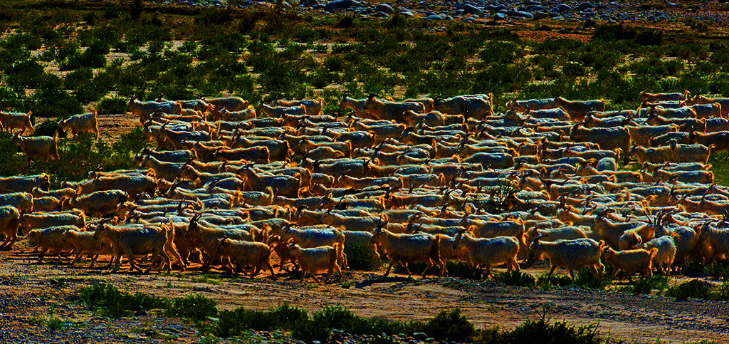 3'��¼��-����  ������  13899523109.JPG