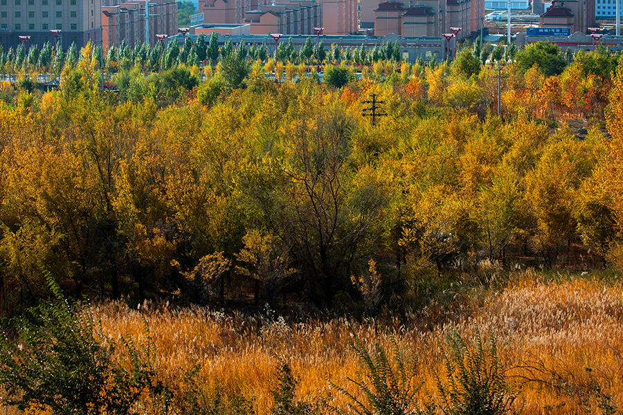 ��������  (1).jpg