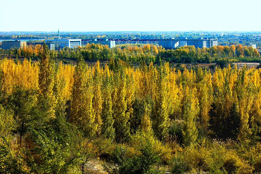 ��������  (2).jpg