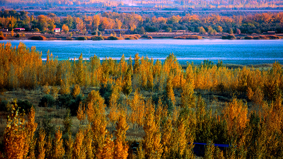 ��������  (3).jpg