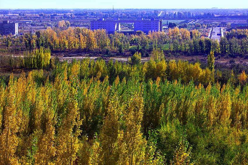 ��������  (4).jpg