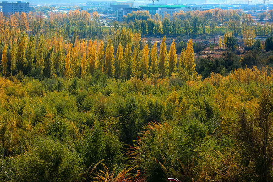 ��������  (5).jpg