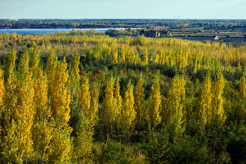 ��������  (6).jpg