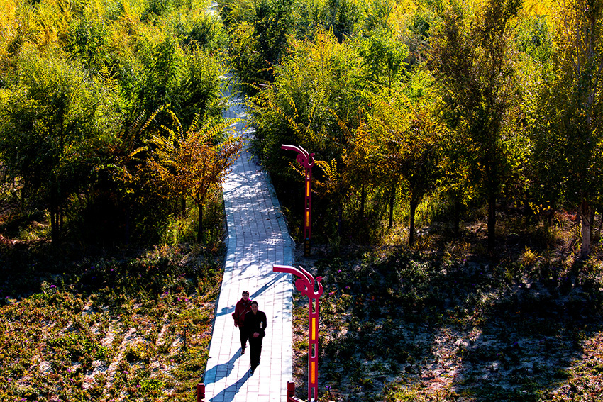 ��������  (7).jpg