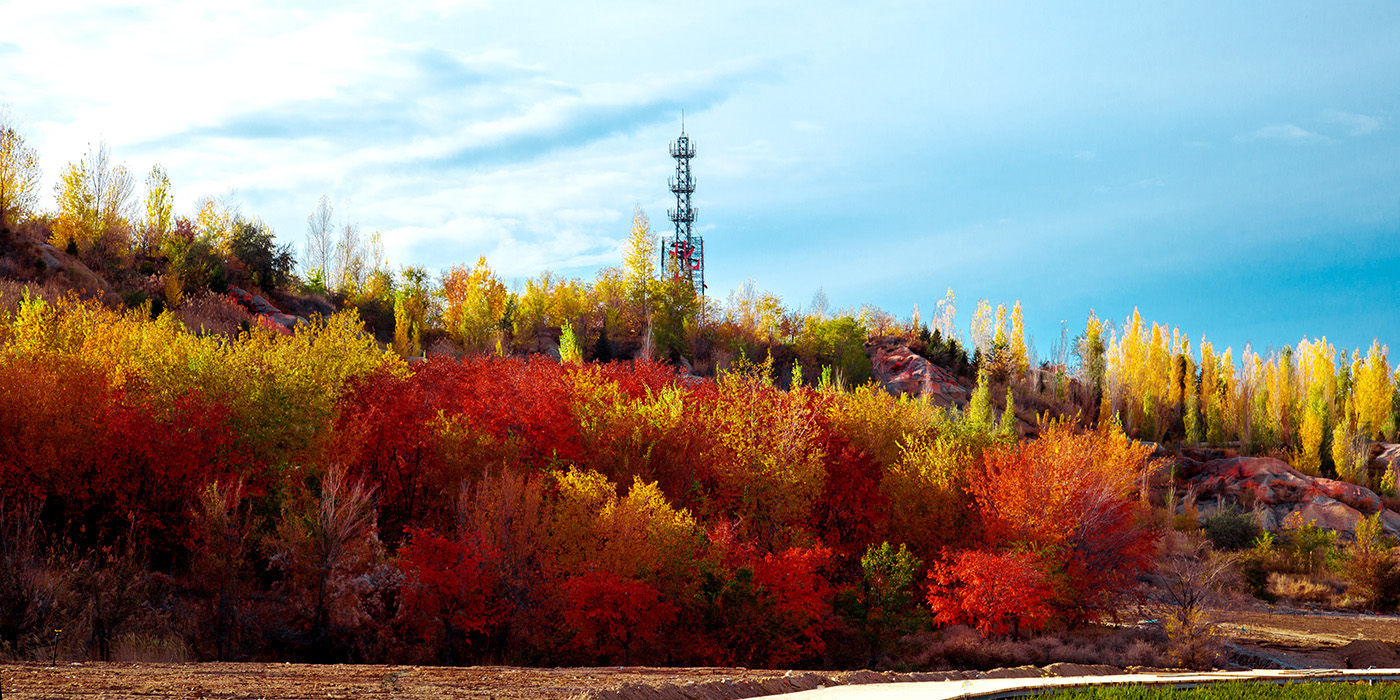 �������� (3).jpg