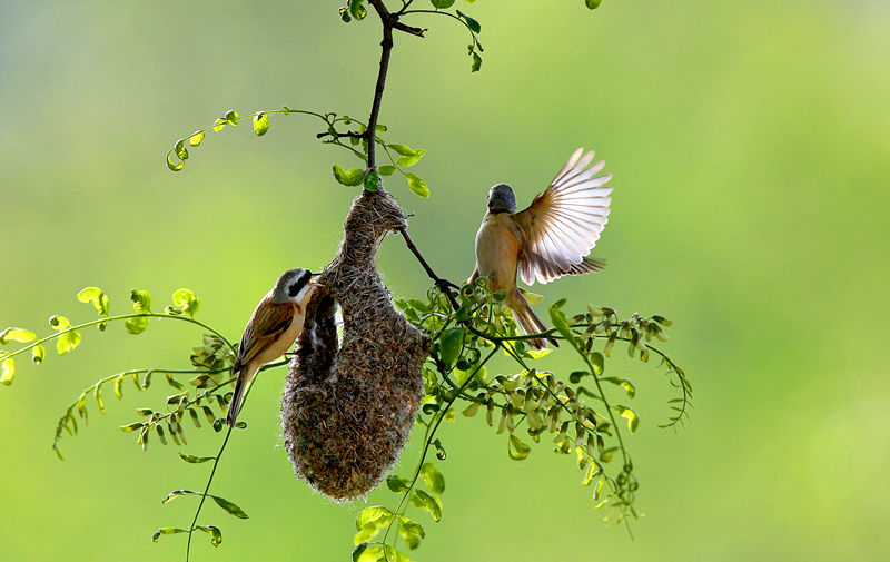 ������˼