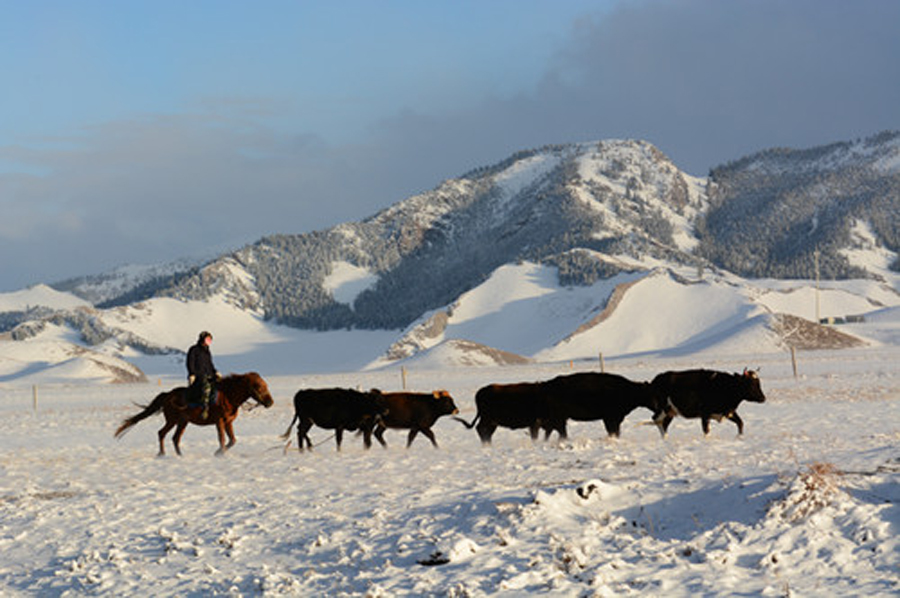 ��ɽ����0