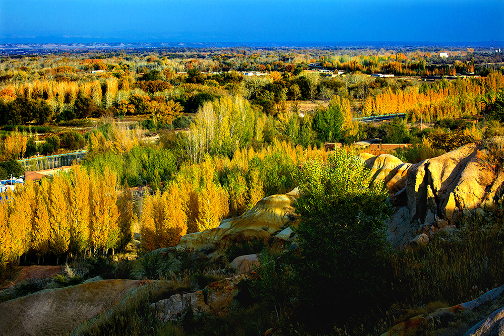 �������� (1).jpg