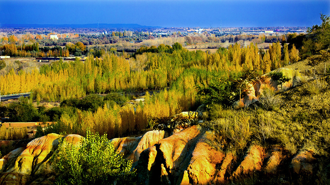 �������� (2).jpg