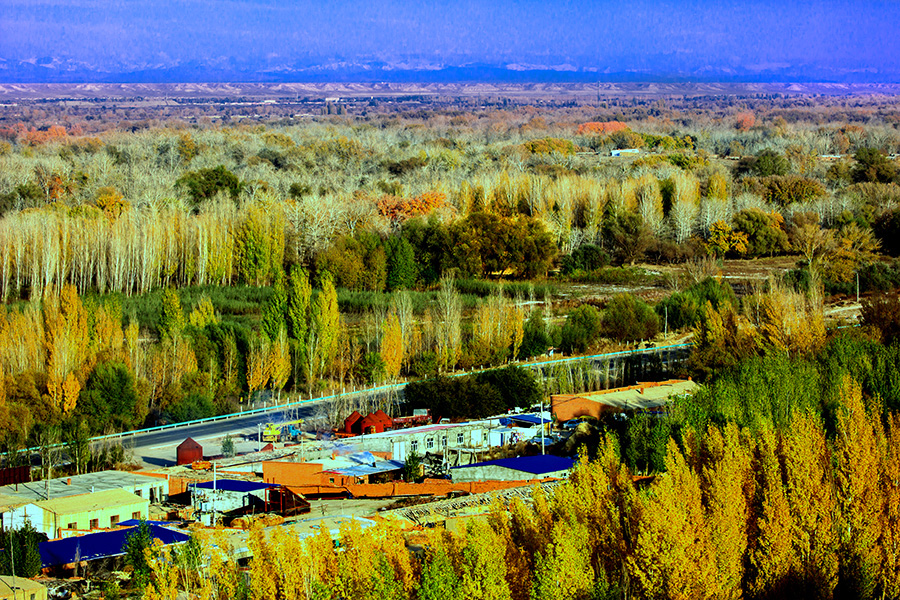 �������� (3).jpg