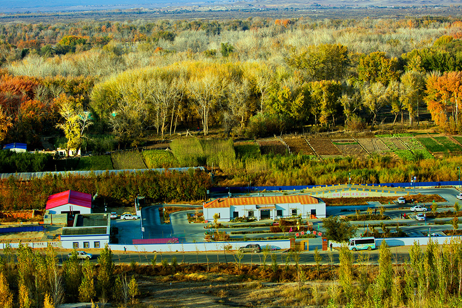 �������� (4).jpg