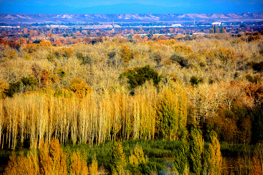 �������� (5).jpg