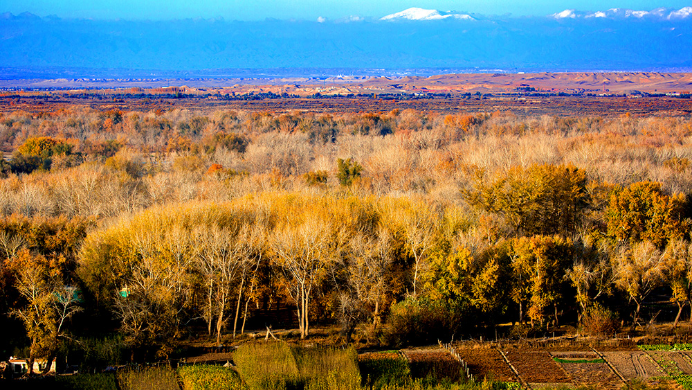 �������� (6).jpg