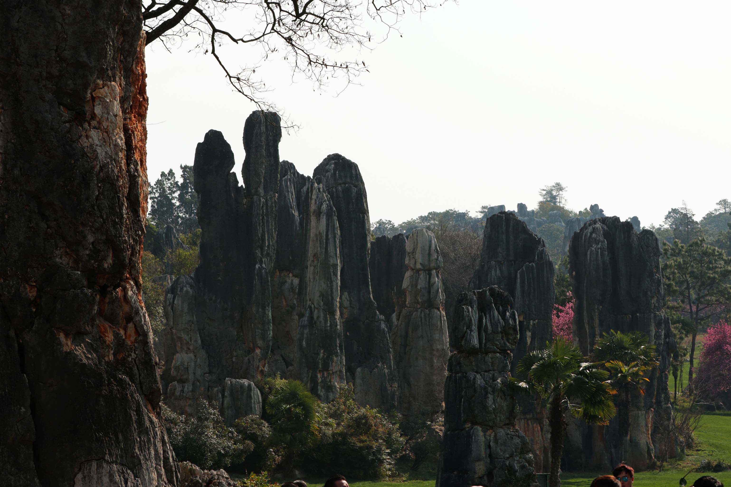 ��������