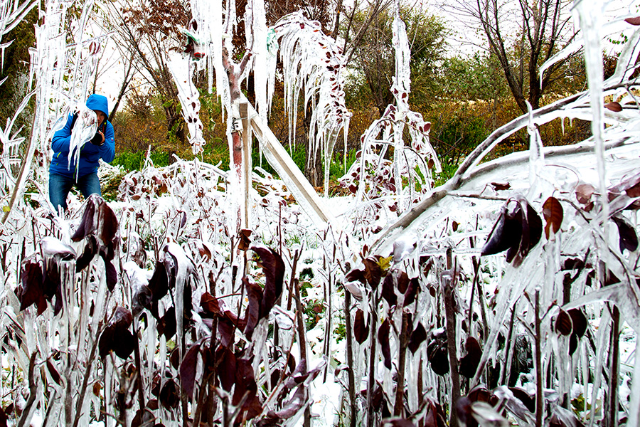 �����澰 (1).jpg