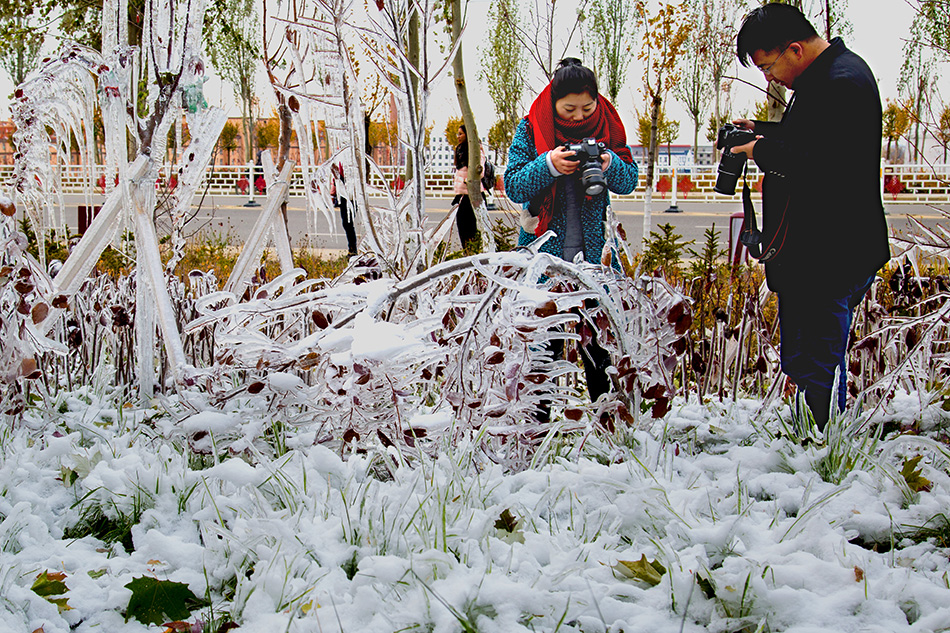 �����澰 (2).jpg