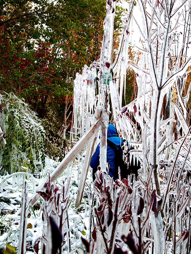 �����澰 (3).jpg