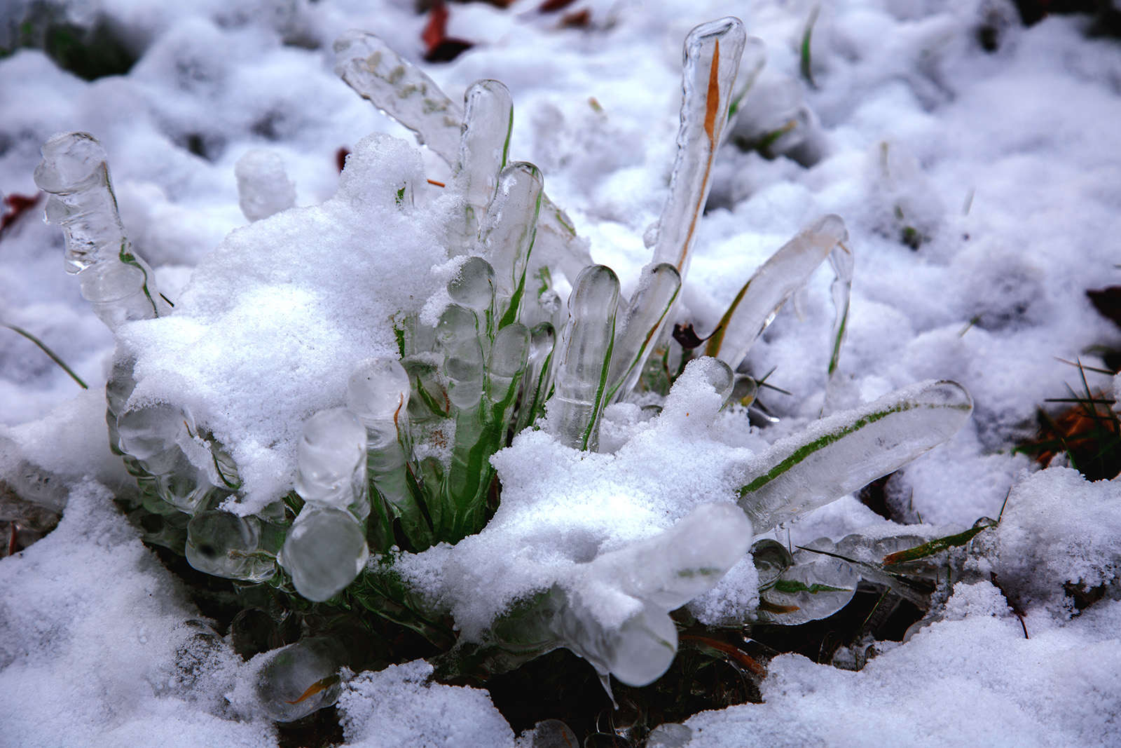 �����澰 (5).jpg