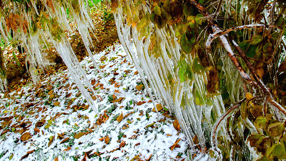 �����澰 (6).jpg