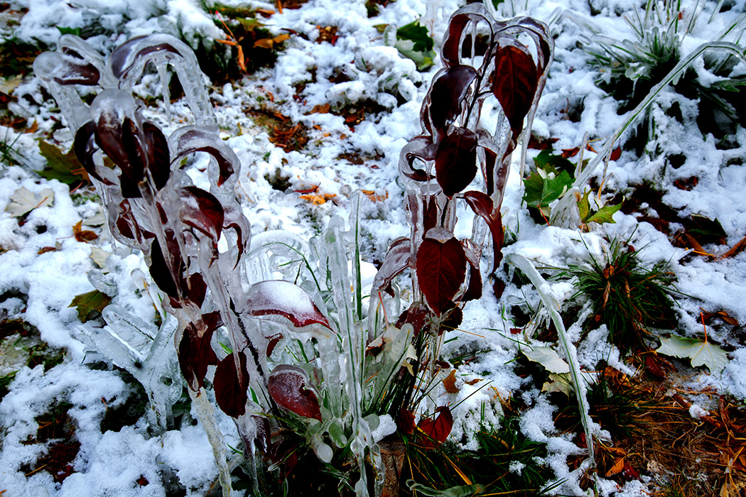 �����澰 (7).jpg