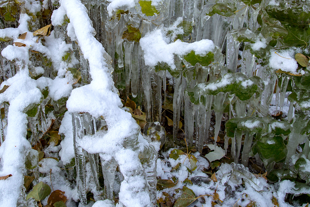 �����澰 (8).jpg