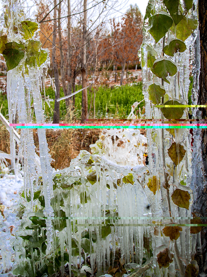 �����澰 (10).jpg