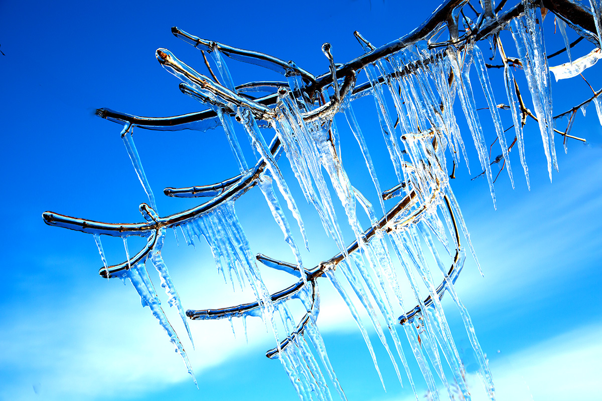 �����澰 (11).jpg