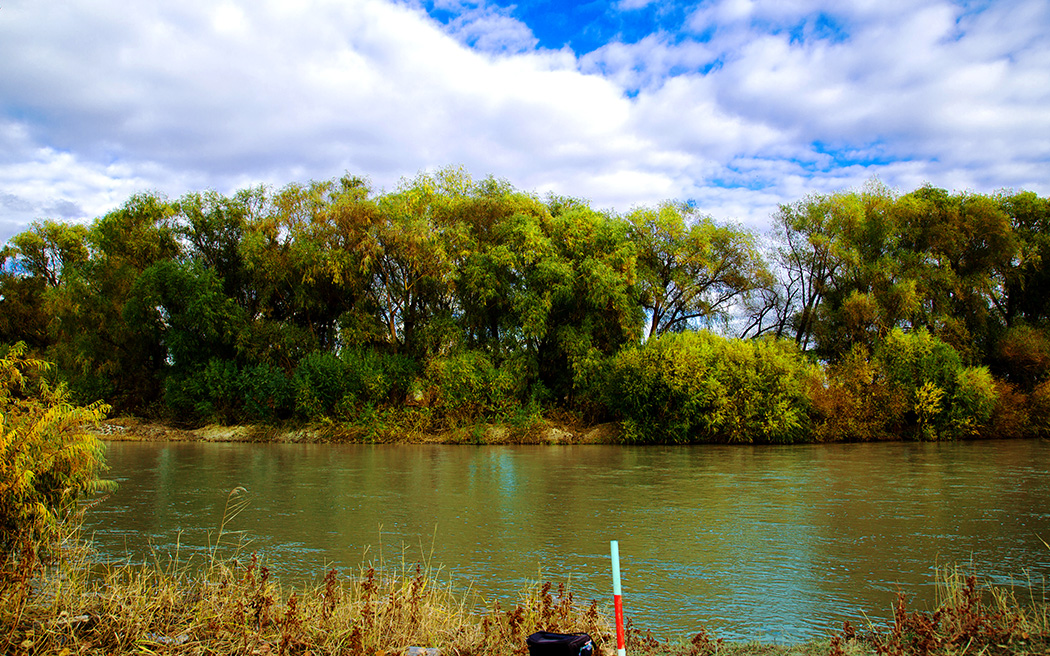 ������� (1).jpg