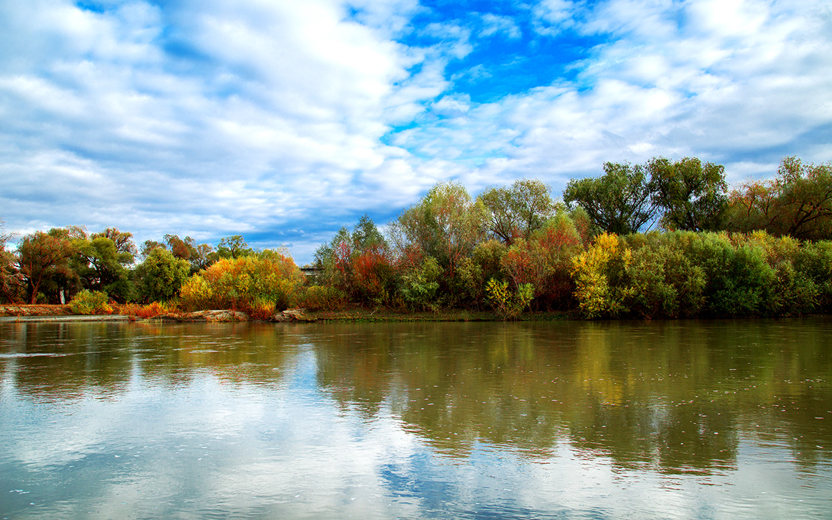 ������� (2).jpg