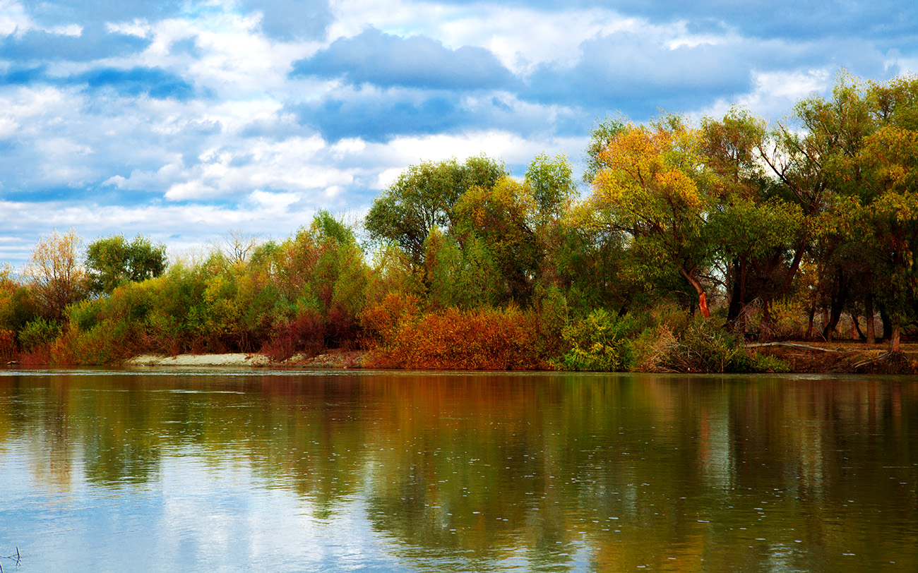 ������� (3).jpg