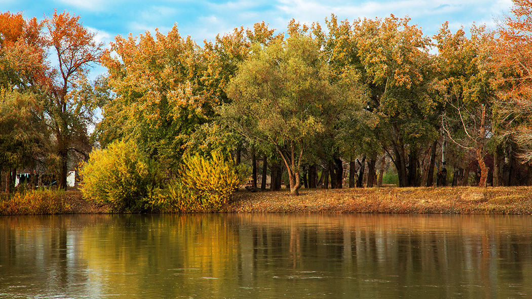 ������� (5).jpg