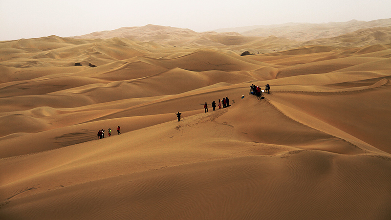 ɳɽ�ϵ���Ӱ��