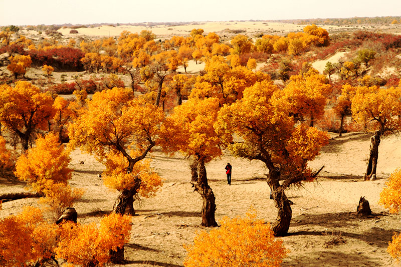 ���϶�����