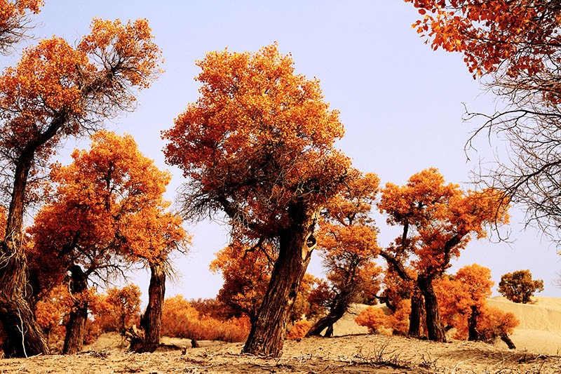 ���϶�����