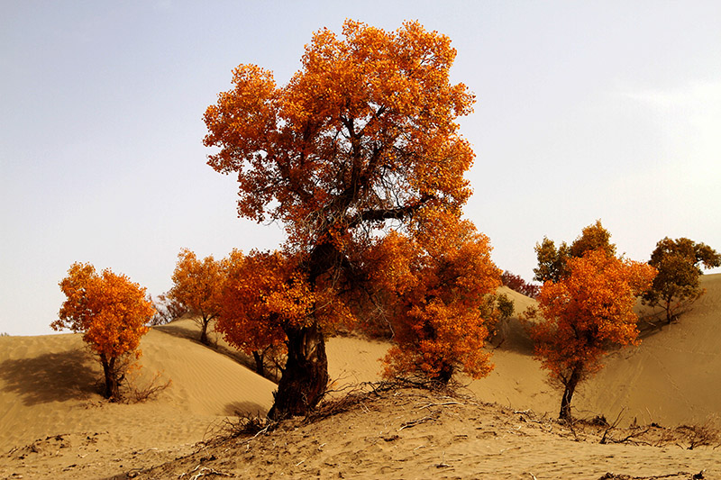 ���Ϻ���