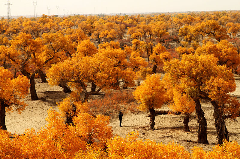 ���϶�����