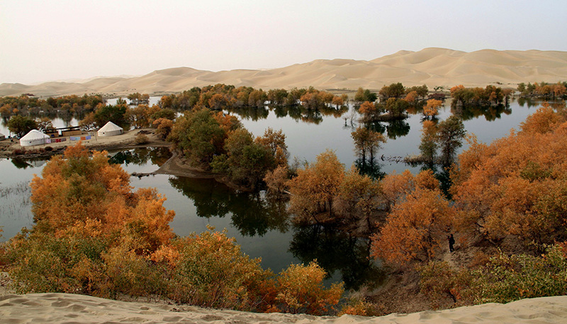 ��«������