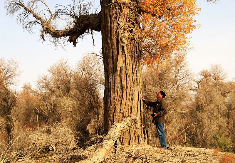 ���Ϲź�����