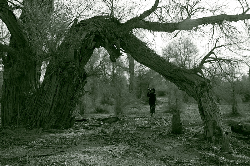 ���Ϲź�����