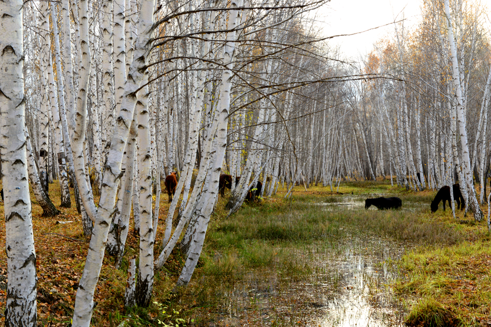 ���ͺӰ�����1