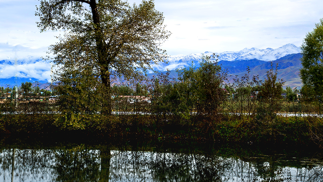 �������� (3).jpg