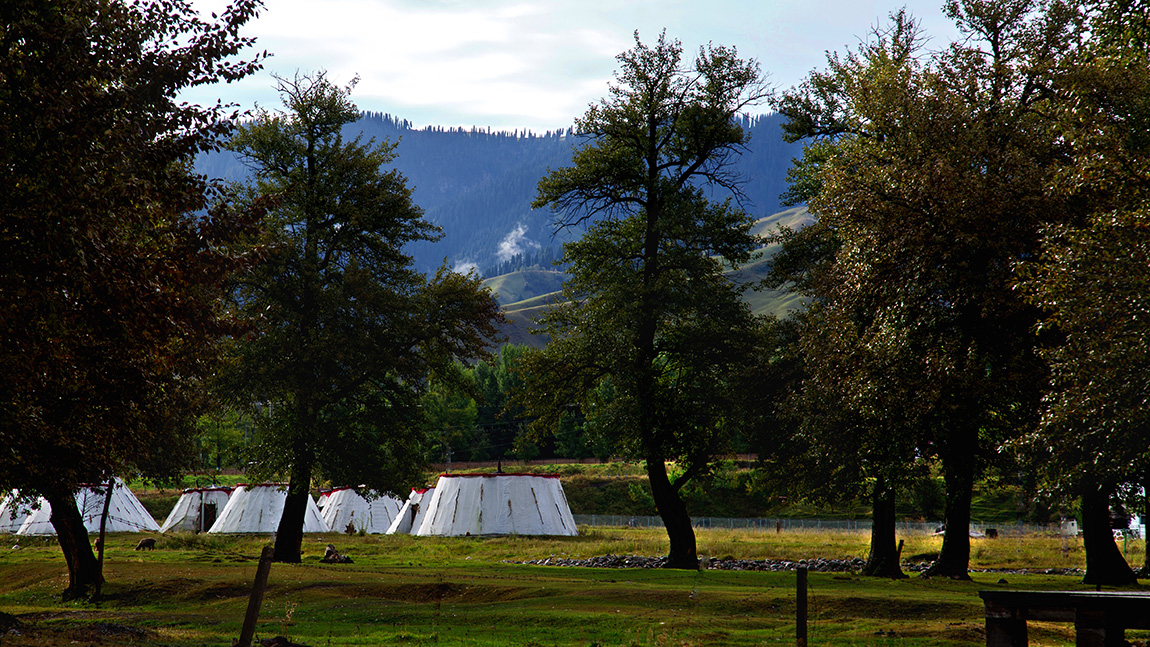 �������� (4).jpg