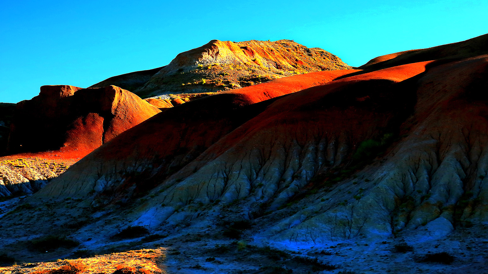 �ŵ���ò (1).jpg