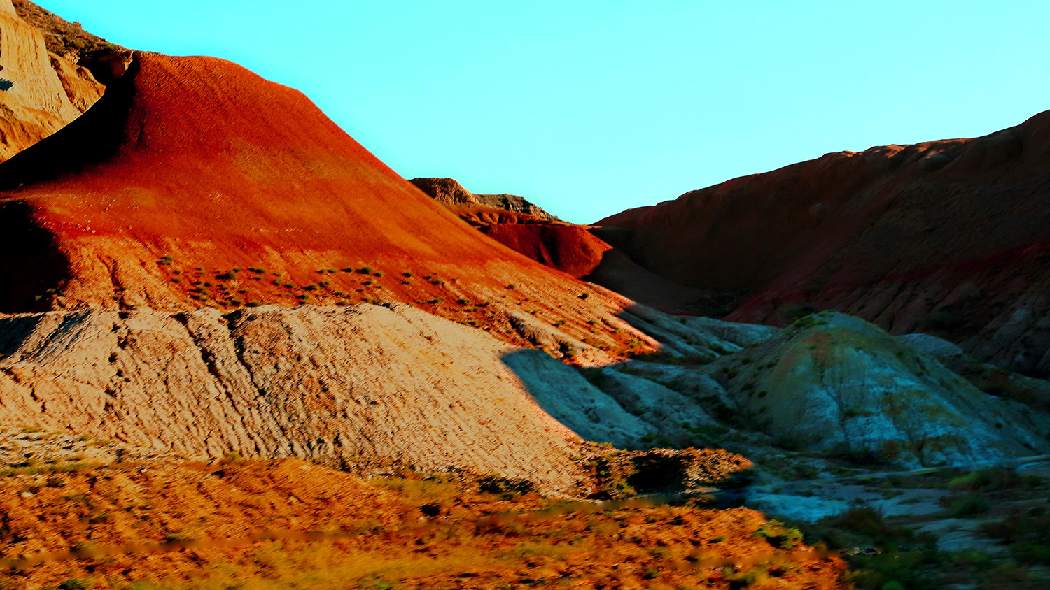 �ŵ���ò (2).jpg