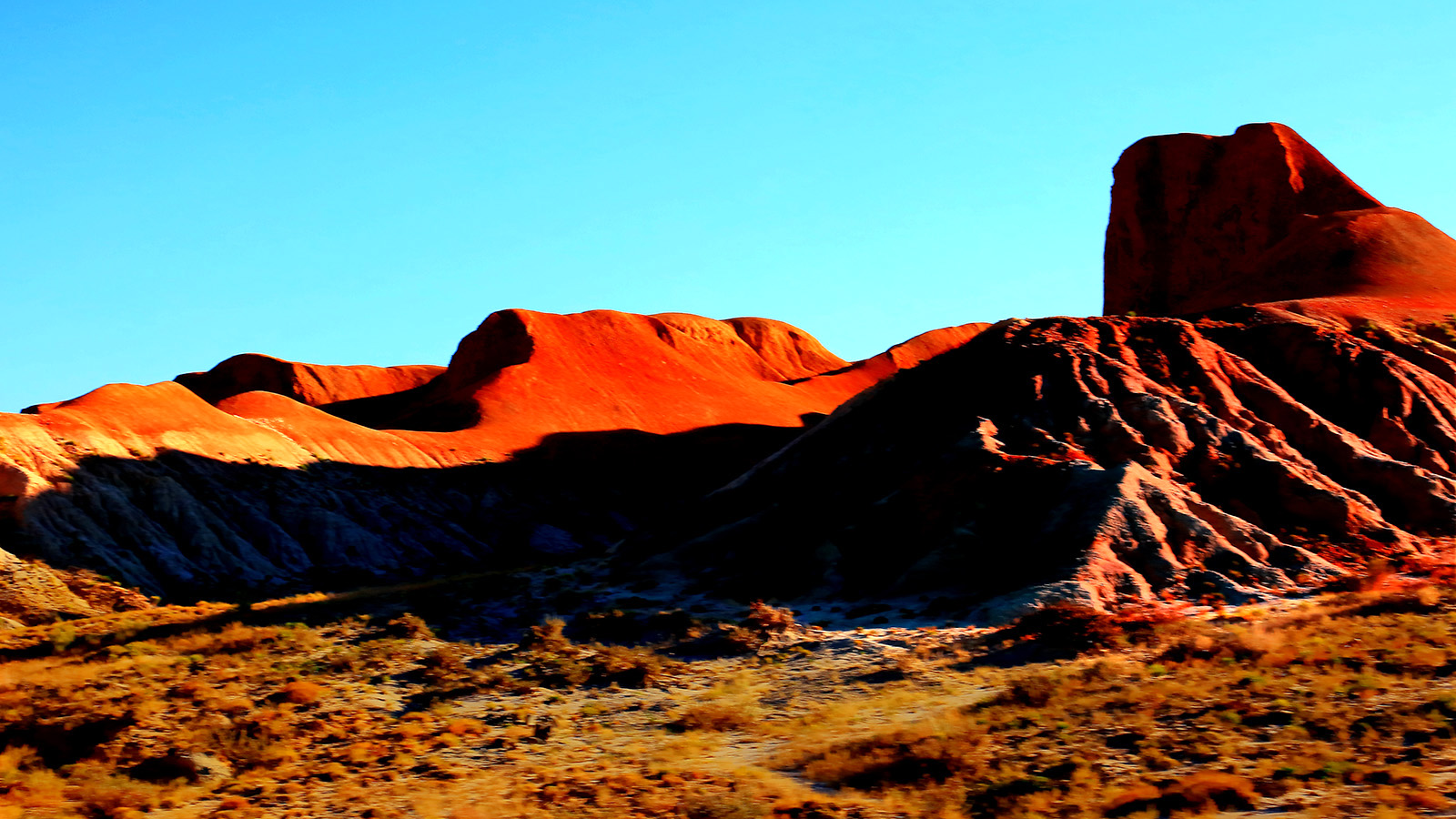 �ŵ���ò (4).jpg