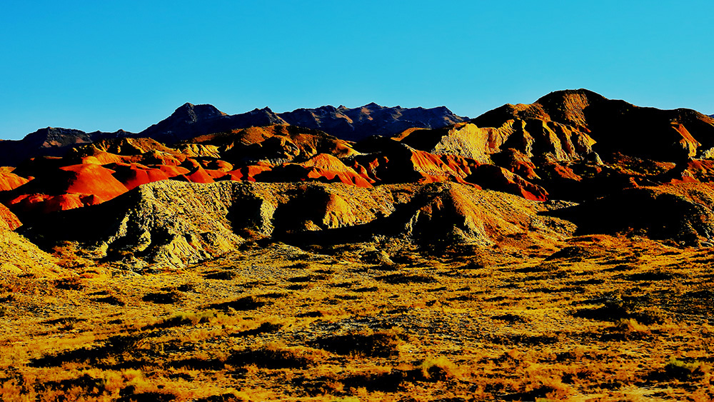 �ŵ���ò (5).jpg