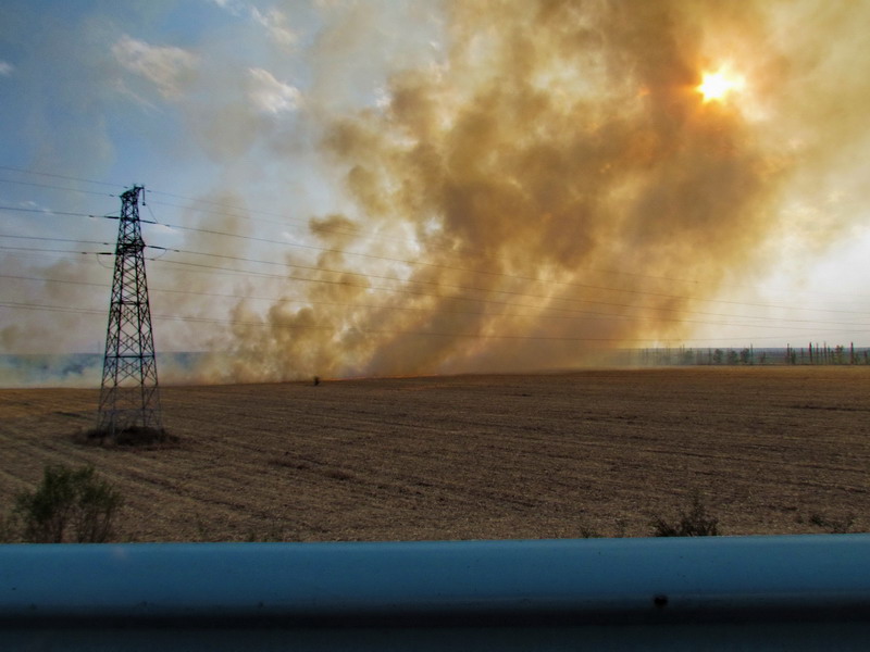 ���� IMG_4095.jpg